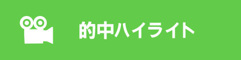 的中ハイライト
